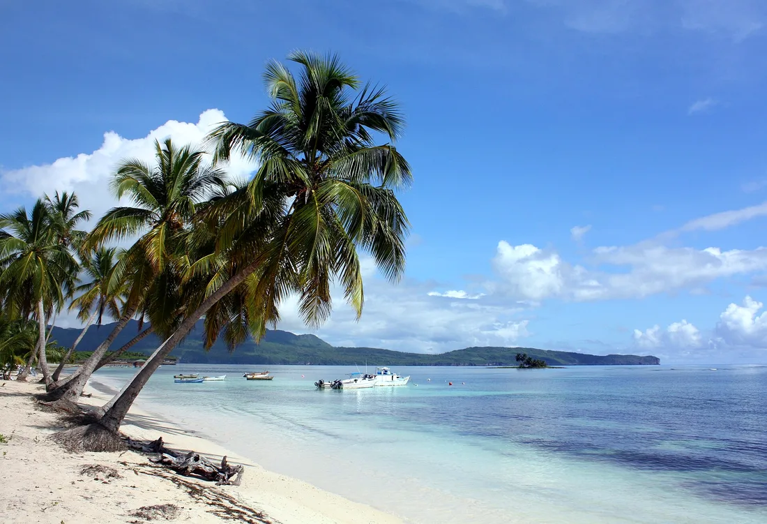 Palm trees leaning over the beach at Las Galeras