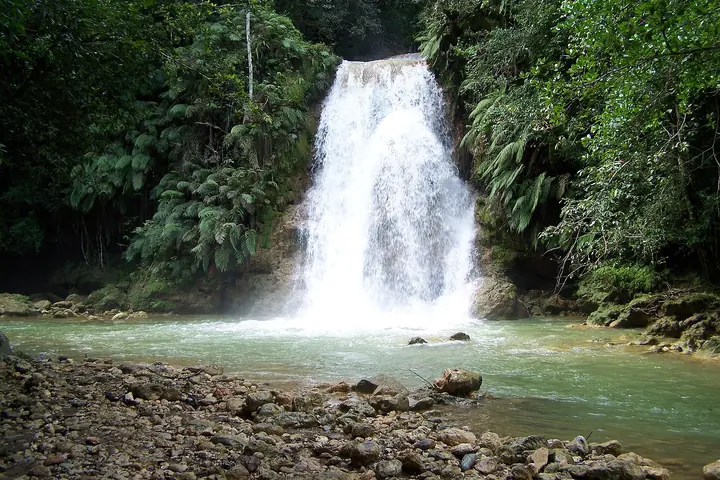 El Limón Waterfall, Samaná, Dominican Republic